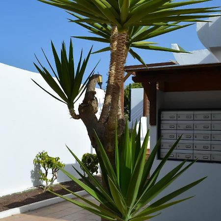 Dunasol 341 By Best Holidays Fuerteventura Corralejo Exterior photo
